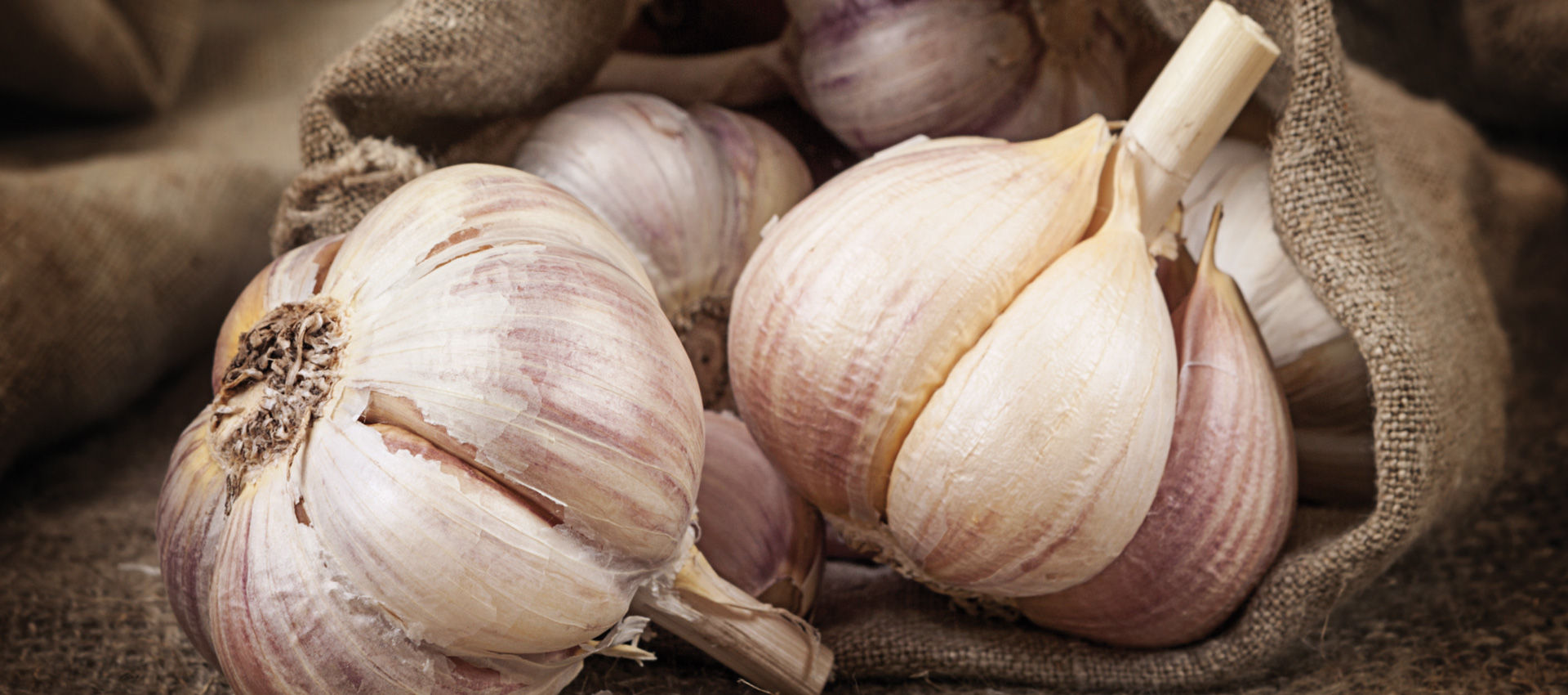 Des pommes des terres de consommation